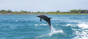 a man riding a wave on top of a body of water